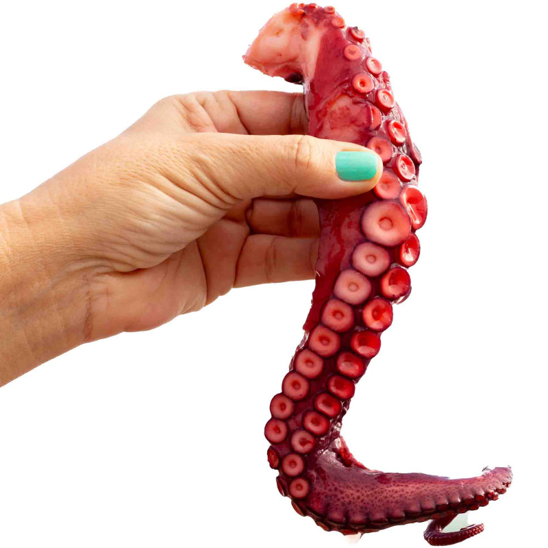 Steamed cooked Octopus tentacle, ±320g (FROZEN)