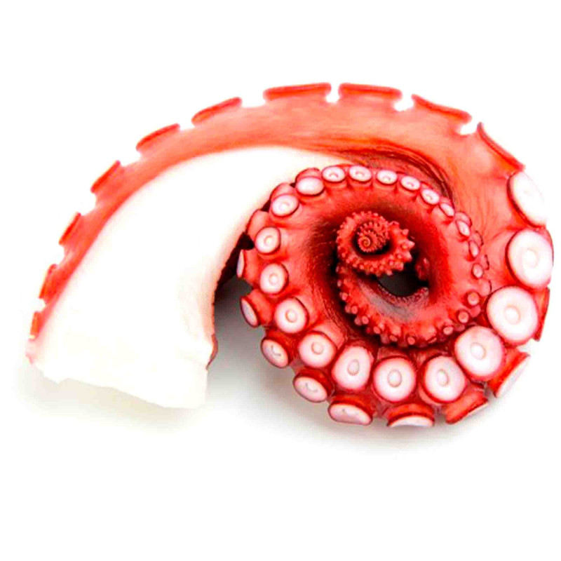 Steamed cooked Octopus tentacle, ±320g (FROZEN)